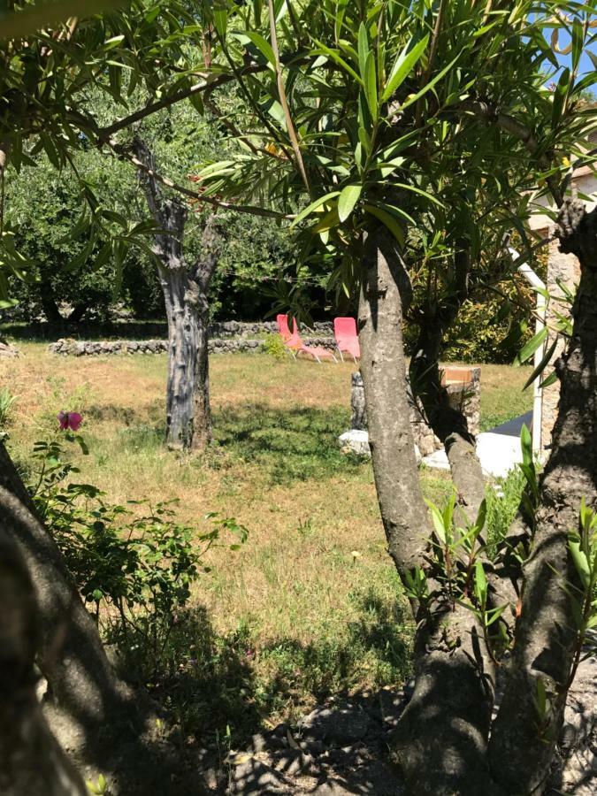 Villa Du Sud Vence Zewnętrze zdjęcie