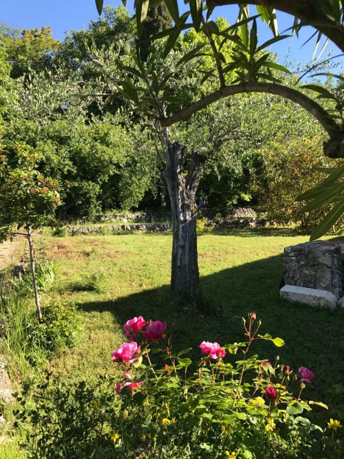 Villa Du Sud Vence Zewnętrze zdjęcie