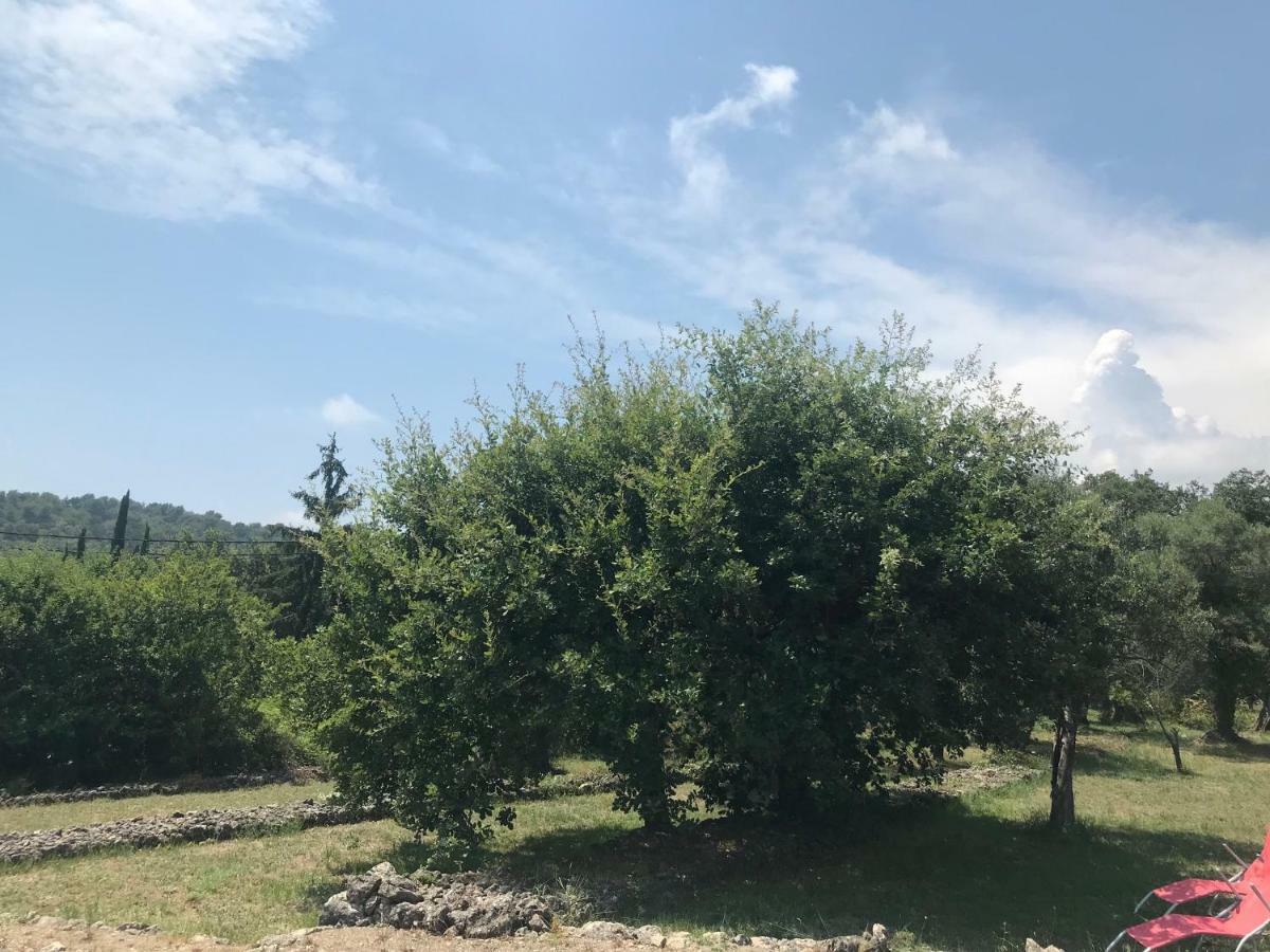 Villa Du Sud Vence Zewnętrze zdjęcie